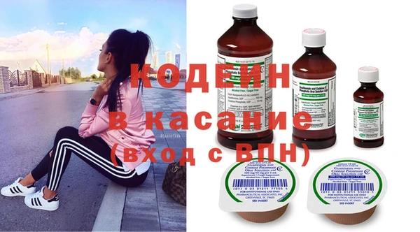 молекула духа Бородино