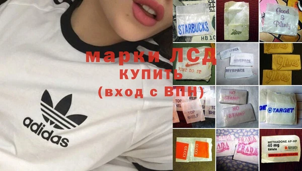 ГАЛЛЮЦИНОГЕННЫЕ ГРИБЫ Беломорск