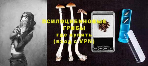 ГАЛЛЮЦИНОГЕННЫЕ ГРИБЫ Беломорск