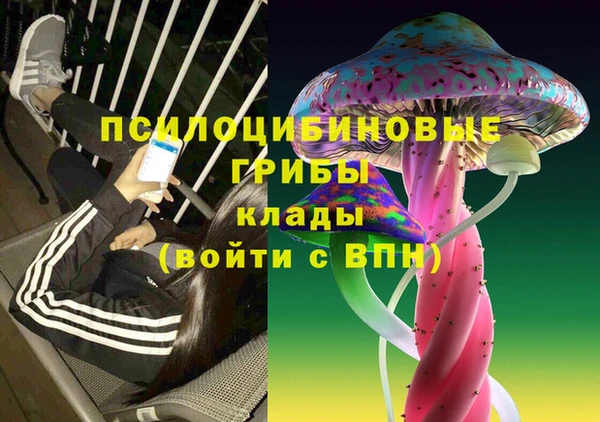 хмурый Бронницы