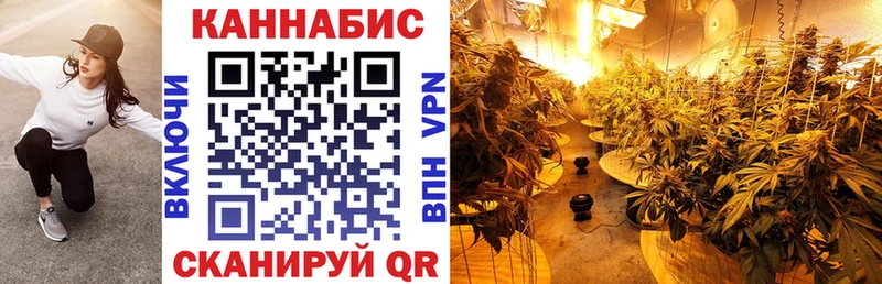 Шишки марихуана сатива  купить наркоту  Карпинск 